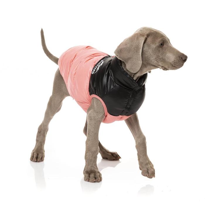 FuzzYard | Harlem Dog Puffer Jacket - Pink-FuzzYard-Love My Hound