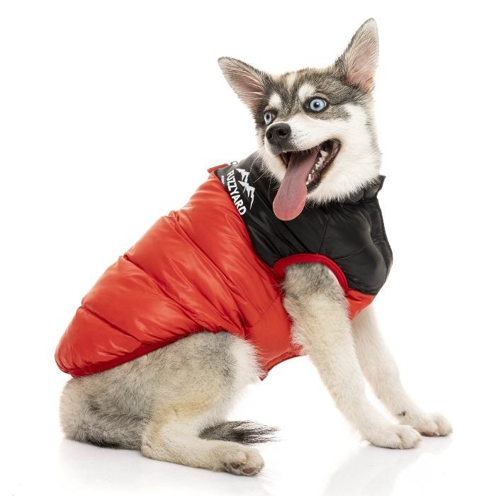 FuzzYard | Harlem Dog Puffer Jacket - Red-FuzzYard-Love My Hound
