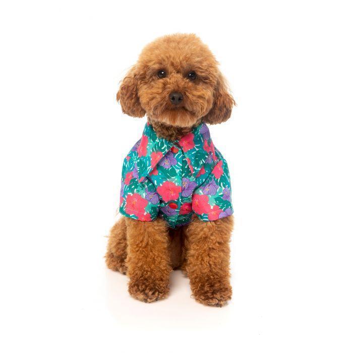 FuzzYard | Lahaina Hawaiian Dog Shirt-FuzzYard-Love My Hound