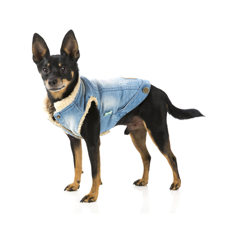 FuzzYard | Rebel Dog Denim Jacket