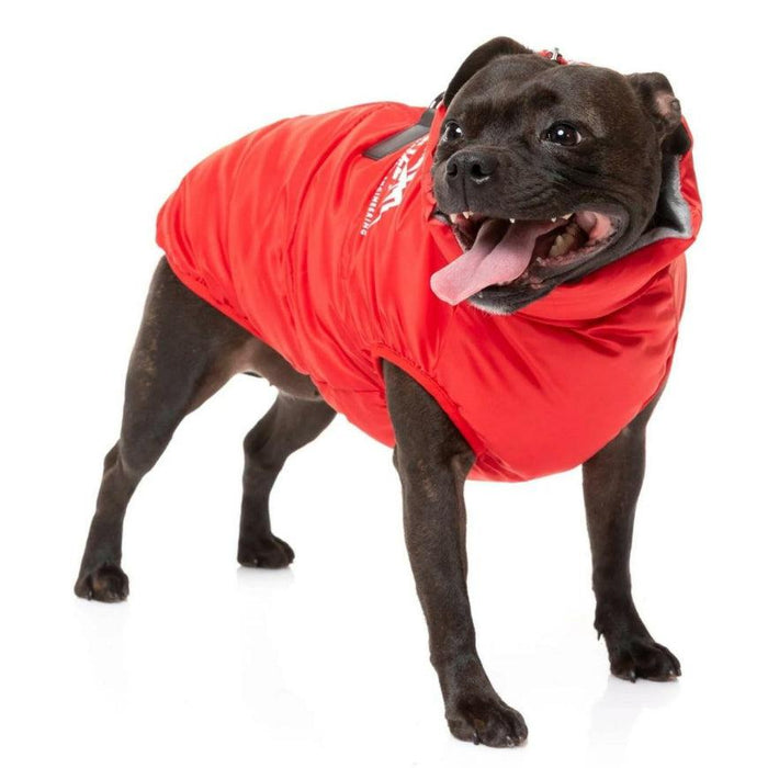 FuzzYard | The Eastcoast Harness Jacket - Red-FuzzYard-Love My Hound
