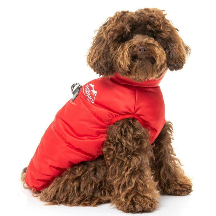 FuzzYard | The Eastcoast Harness Jacket - Red-FuzzYard-Love My Hound