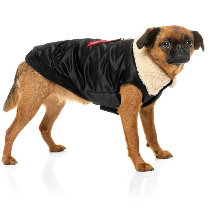 FuzzYard | The Zoomie Jacket - Black-FuzzYard-Love My Hound