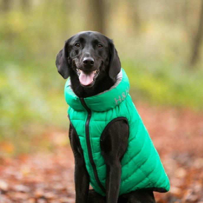 Hugo & Hudson - Reversible Puffer Jacket - Dark Green/Grey-Hugo & Hudson-Love My Hound