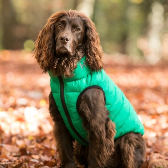 Hugo & Hudson - Reversible Puffer Jacket - Dark Green/Grey-Hugo & Hudson-Love My Hound