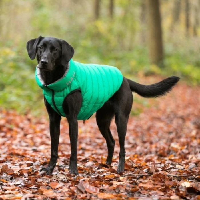 Hugo & Hudson - Reversible Puffer Jacket - Dark Green/Grey-Hugo & Hudson-Love My Hound