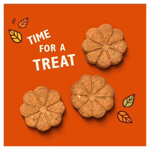 Lily's Kitchen | Breaktime Biscuits | Dog Treats 80g-Lily's Kitchen-Love My Hound