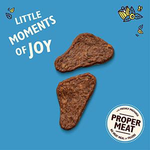 Lily's Kitchen | The Mighty Duck Mini Jerky | Dog Treats 70g-Lily's Kitchen-Love My Hound