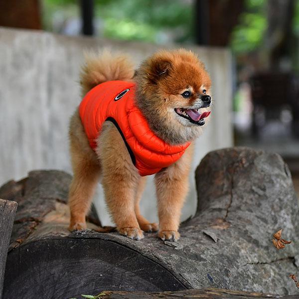 Puppia - Ultralight Thermal Dog Vest - Yellow-Puppia-Love My Hound