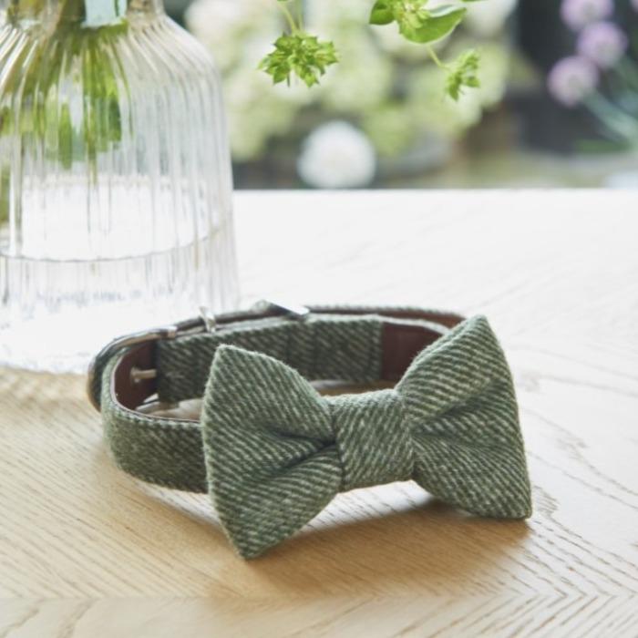 Sweet William - Tweed Dog Bow Tie - Green