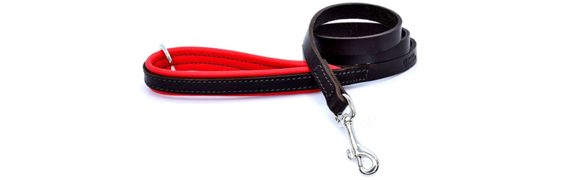 Dog Collars & Leads