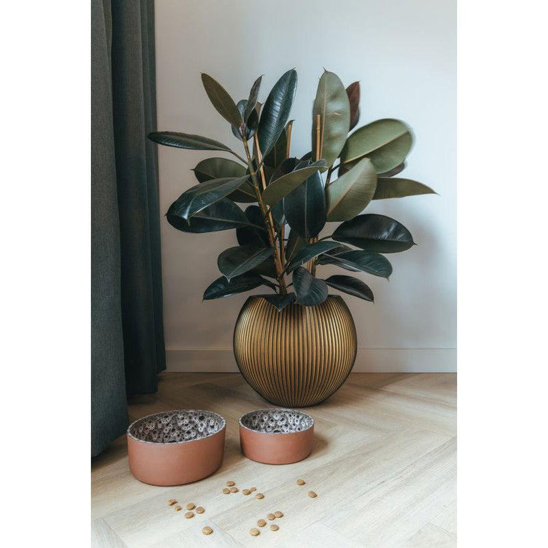 AVA Bowls | Ceramic Dog Bowl - Jag-Ava bowls-Love My Hound
