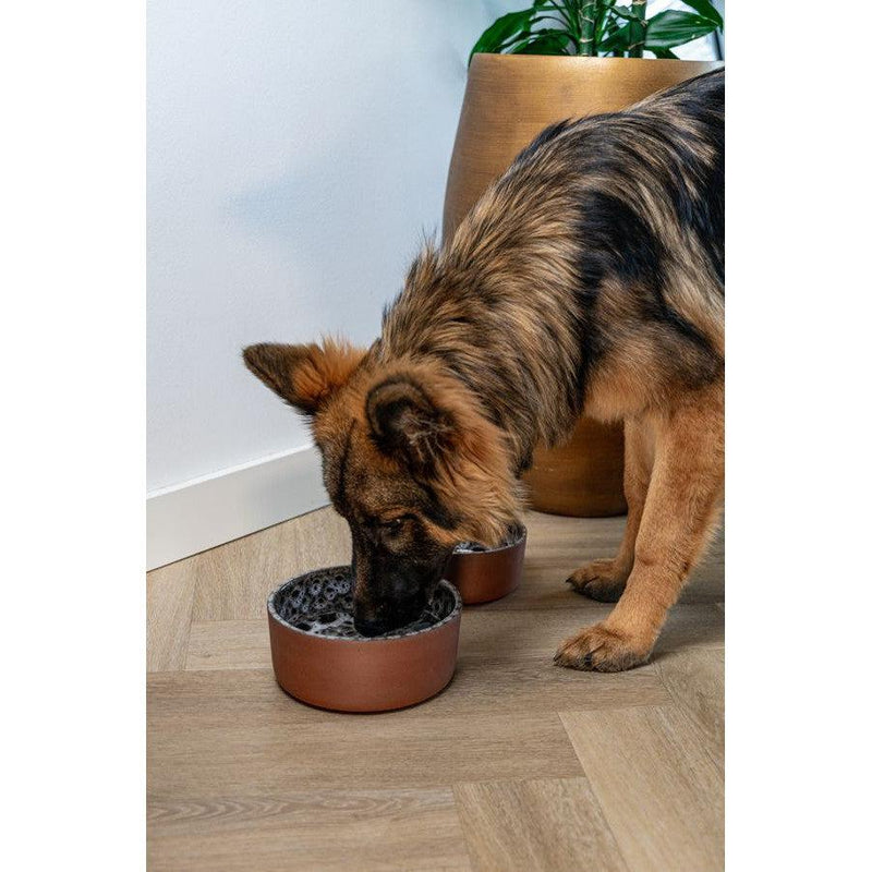 AVA Bowls | Ceramic Dog Bowl - Jag-Ava bowls-Love My Hound