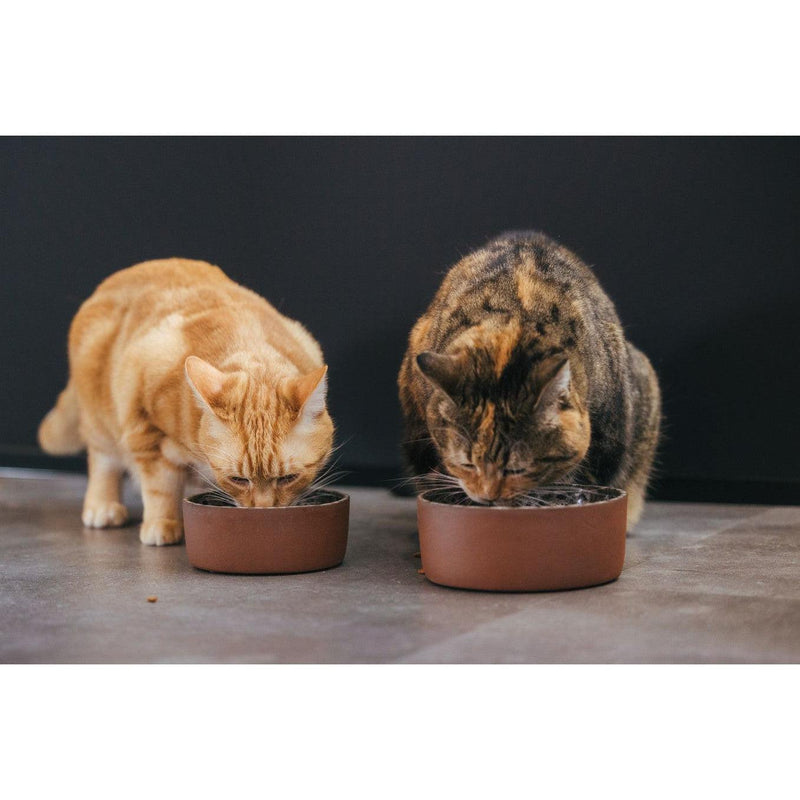 AVA Bowls | Ceramic Dog Bowl - Jag-Ava bowls-Love My Hound