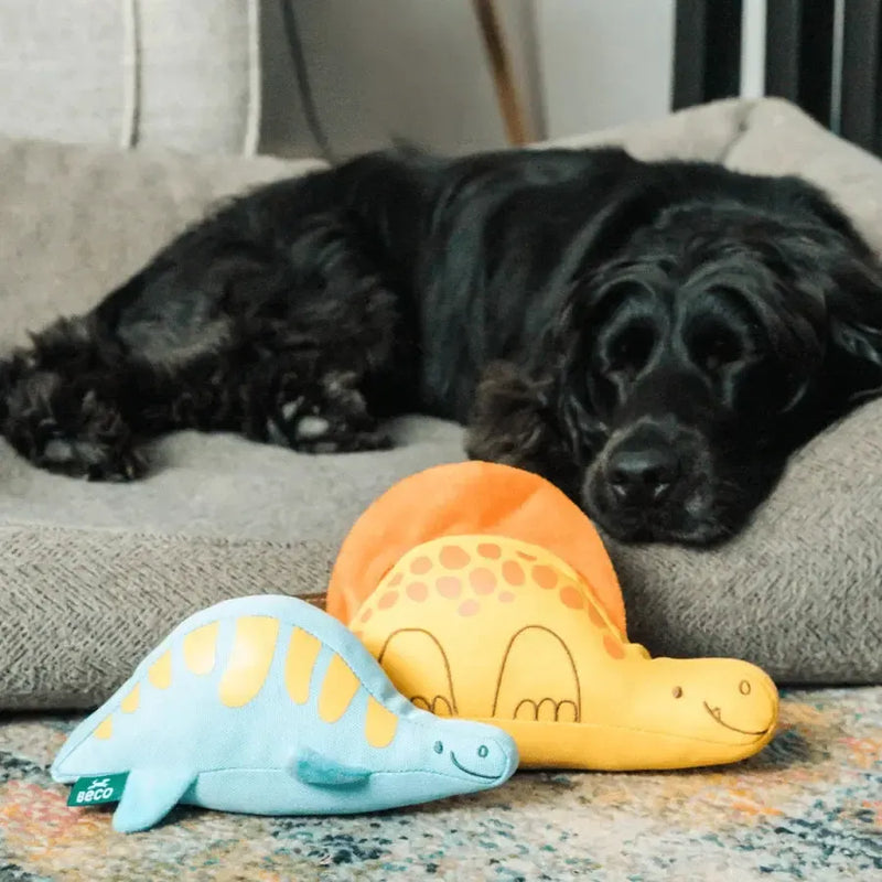 Beco | Dimetrodon Dinosaur Dog Toy-Beco-Love My Hound