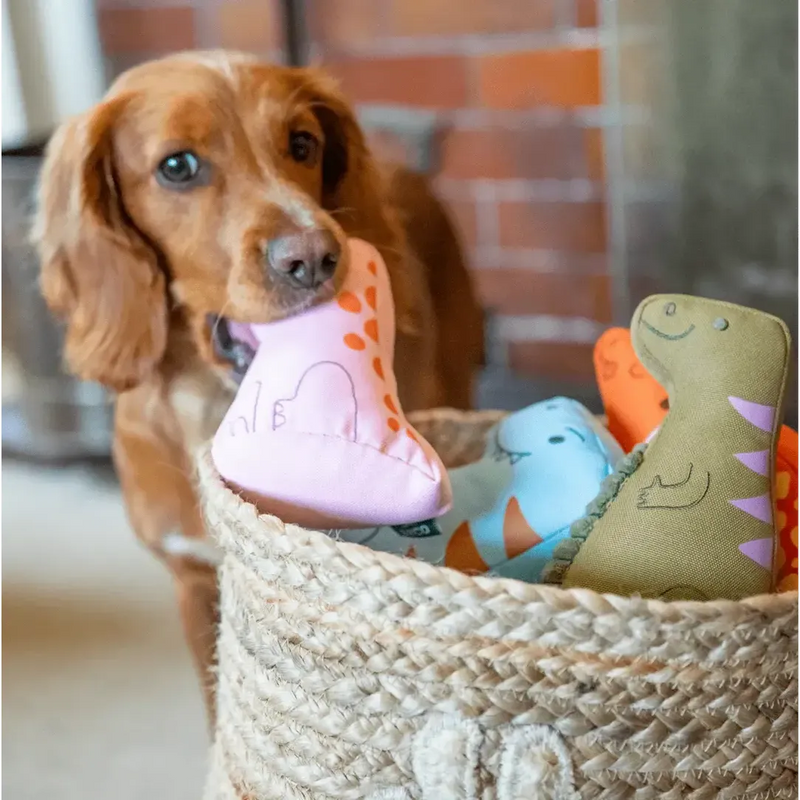 Beco | Iguanadon Dinosaur Dog Toy-Beco-Love My Hound