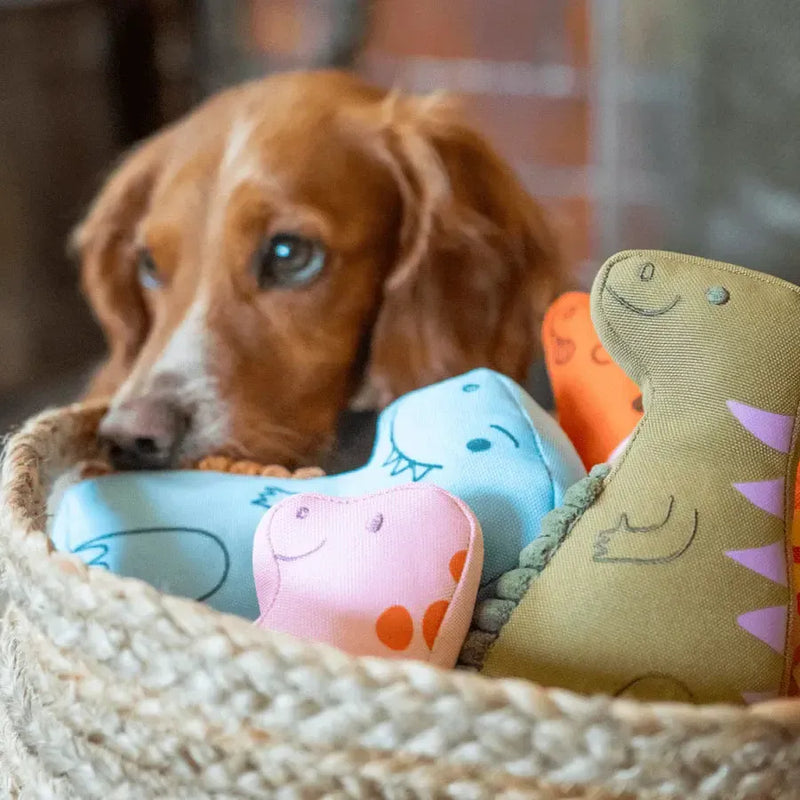 Beco | Iguanadon Dinosaur Dog Toy-Beco-Love My Hound
