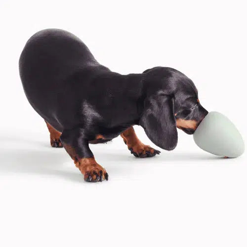 Beco - Natural Rubber Boredom Buster - Green-Beco-Love My Hound