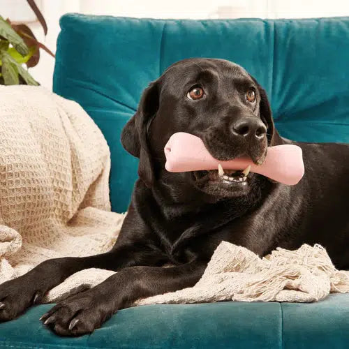 Beco - Natural Rubber Chew Bone - Pink-Beco-Love My Hound