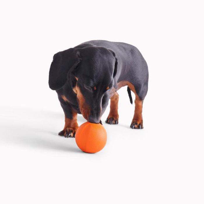 Beco - Natural Rubber Fetch Ball - Orange-Beco-Love My Hound