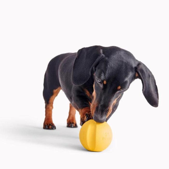 Beco - Natural Rubber Fetch Ball - Yellow-Beco-Love My Hound