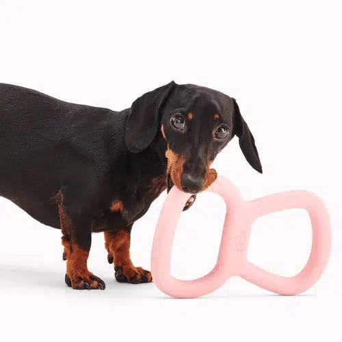 Beco - Natural Rubber Rough Tugger - Pink-Beco-Love My Hound