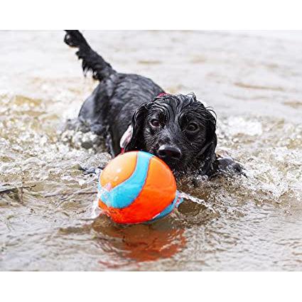 Chuckit - Amphibious Mega Ball-ChuckIt-Love My Hound