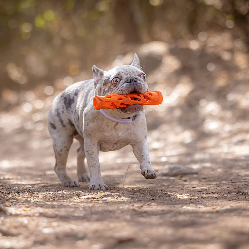 Chuckit - Breathe Right Fetch Stick Dog Toy-ChuckIt-Love My Hound