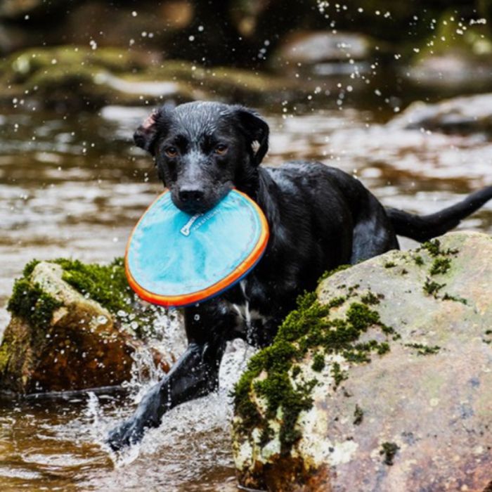 Chuckit - Paraflight Flyer Dog Toy-ChuckIt-Love My Hound