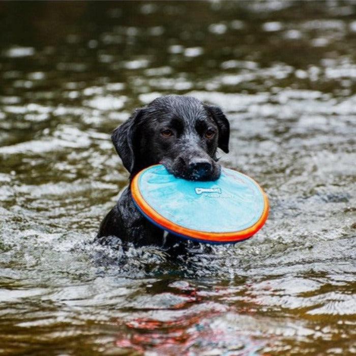 Chuckit - Paraflight Flyer Dog Toy-ChuckIt-Love My Hound