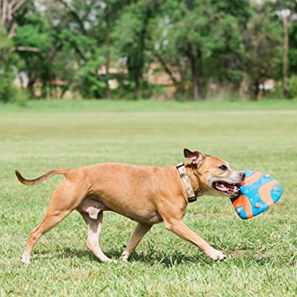 Chuckit - Whistle Flight Flyer - Dog Toy-ChuckIt-Love My Hound