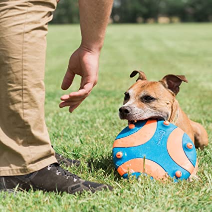 Chuckit - Whistle Flight Flyer - Dog Toy-ChuckIt-Love My Hound