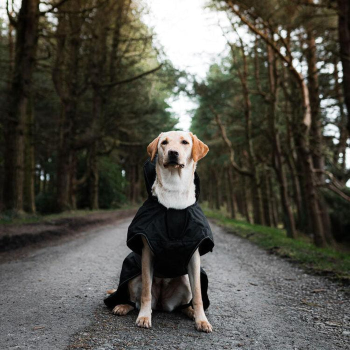 Danish Design - The Ultimate 2 in 1 Waterproof and Fleece Dog Coat - Black-Danish Design-Love My Hound