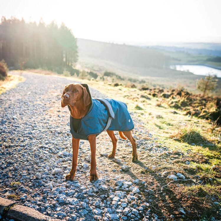 Danish Design - The Ultimate 2 in 1 Waterproof and Fleece Dog Coat - Blue-Danish Design-Love My Hound