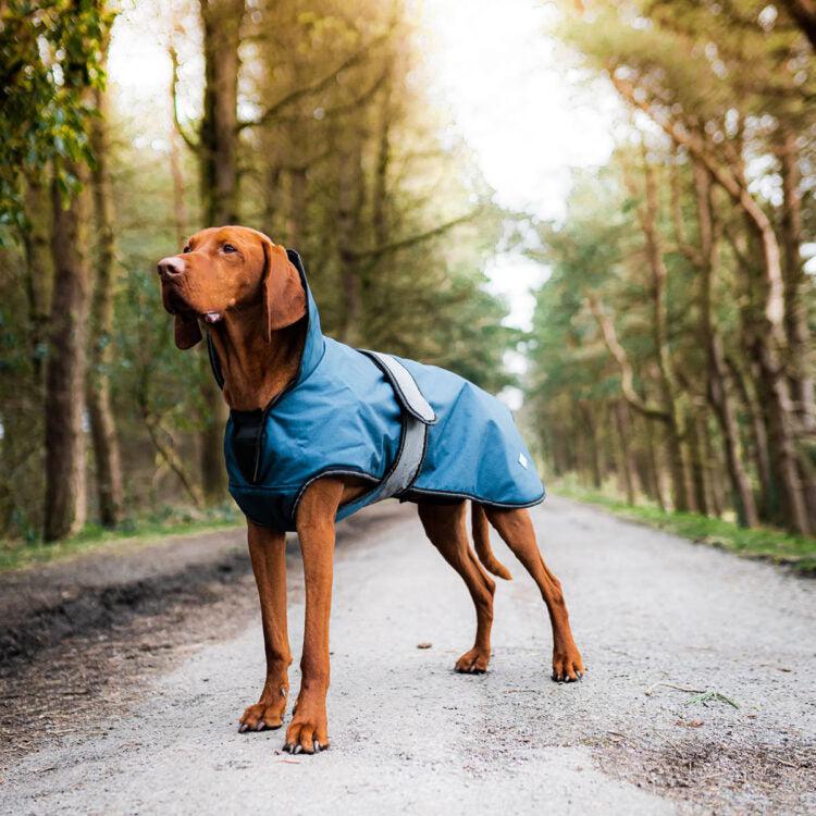 Danish Design - The Ultimate 2 in 1 Waterproof and Fleece Dog Coat - Blue-Danish Design-Love My Hound