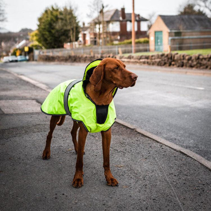 Danish Design - The Ultimate 2 in 1 Waterproof and Fleece Dog Coat - High Vis/Yellow-Danish Design-Love My Hound