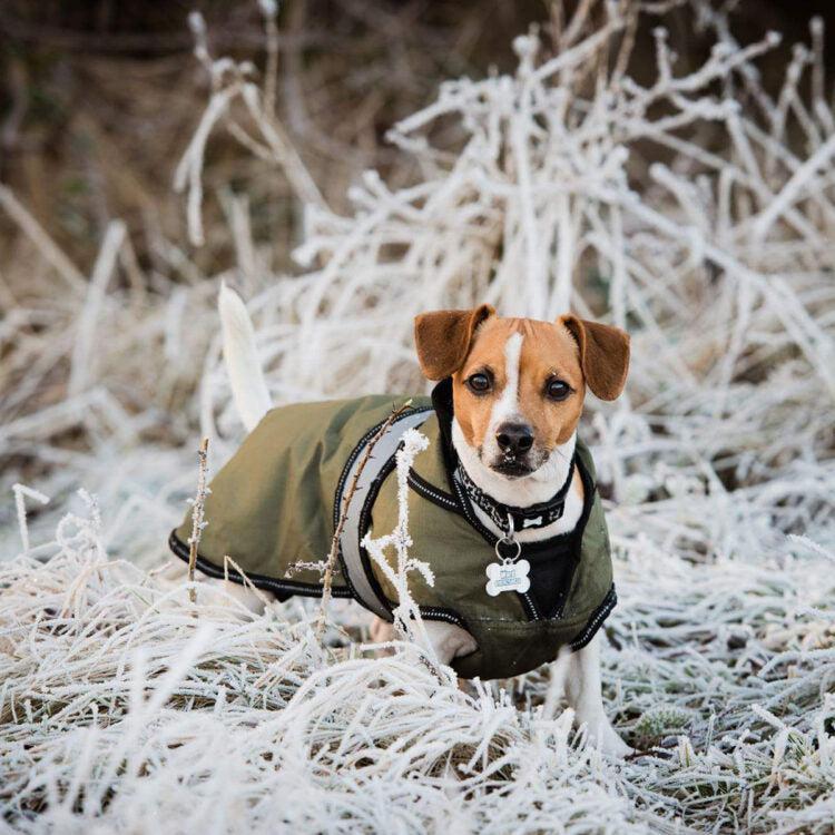 Danish Design - The Ultimate 2 in 1 Waterproof and Fleece Dog Coat - Khaki-Danish Design-Love My Hound