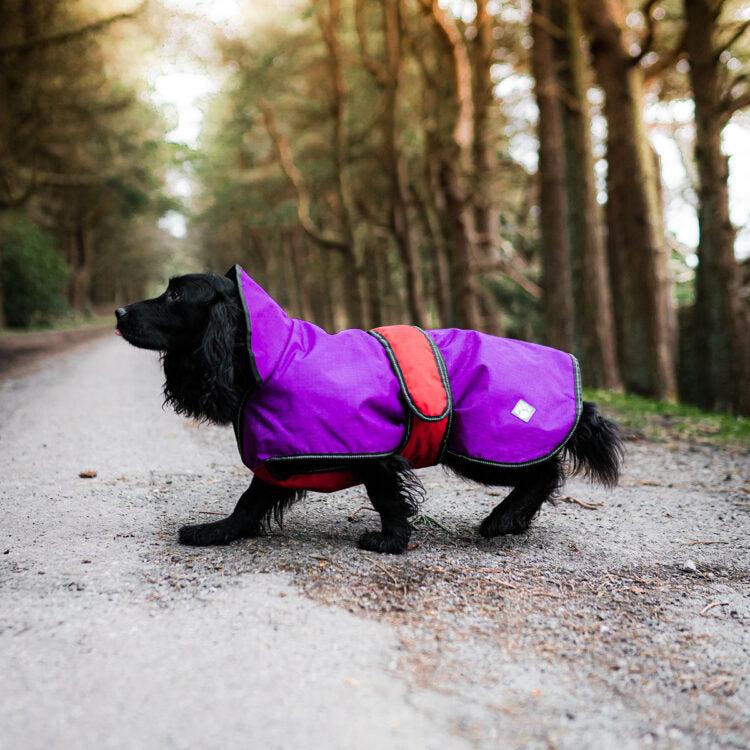 Danish Design - The Ultimate 2 in 1 Waterproof and Fleece Dog Coat - Purple-Danish Design-Love My Hound