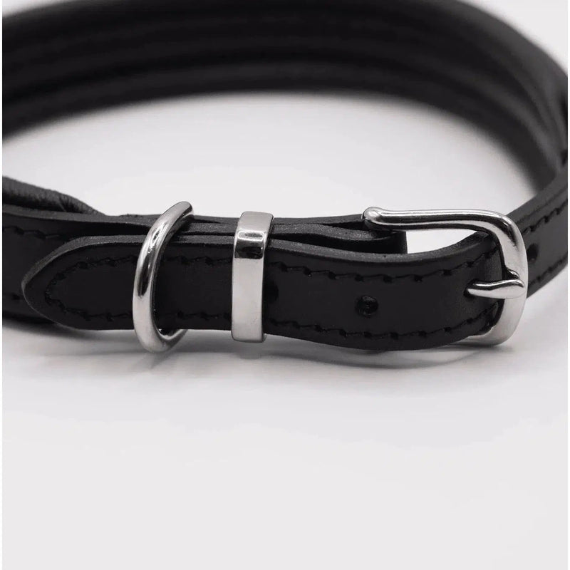 Dogs & Horses Padded Leather Dog Collar - Black-Dogs & Horses-Love My Hound