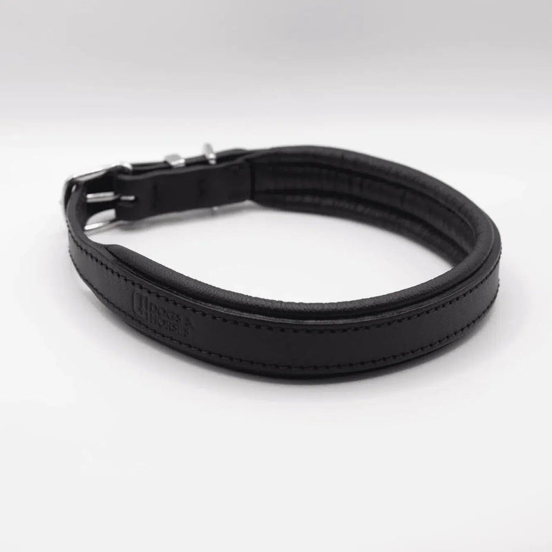 Dogs & Horses Padded Leather Dog Collar - Black-Dogs & Horses-Love My Hound