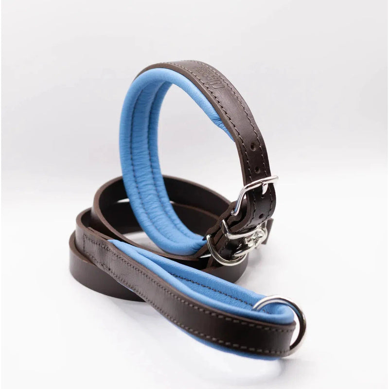 Dogs & Horses Padded Leather Dog Collar - Blue & Brown-Dogs & Horses-Love My Hound