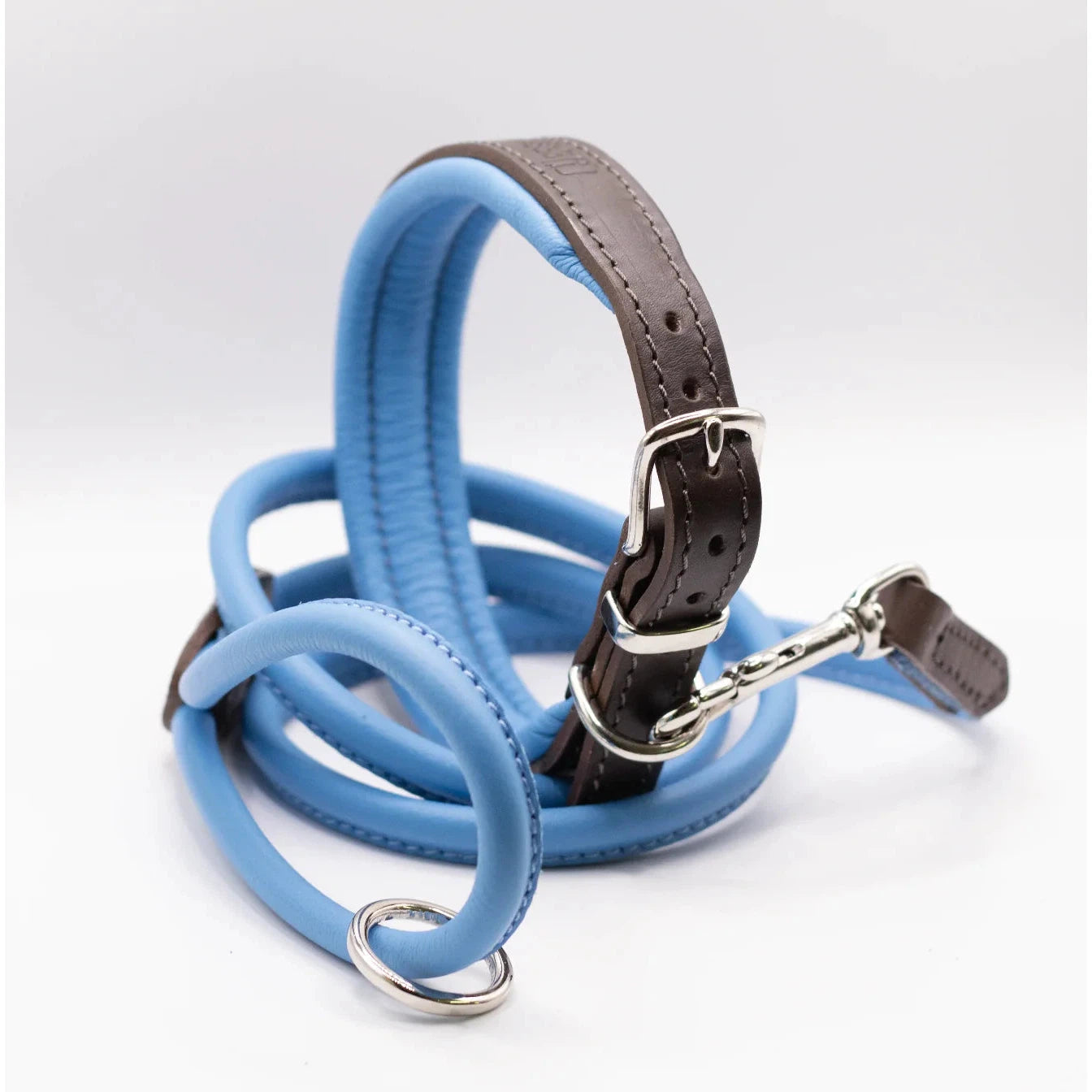 Dogs Horses Padded Leather Dog Collar Blue Brown Love My Hound