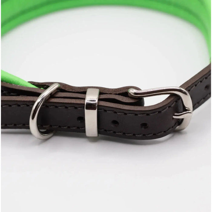 Dogs & Horses Padded Leather Dog Collar - Green & Brown-Dogs & Horses-Love My Hound