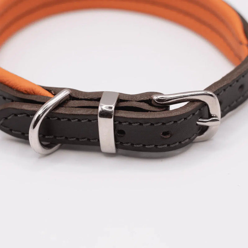 Dogs & Horses Padded Leather Dog Collar - Orange & Brown-Dogs & Horses-Love My Hound
