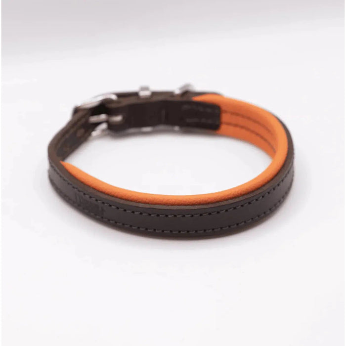 Dogs & Horses Padded Leather Dog Collar - Orange & Brown-Dogs & Horses-Love My Hound