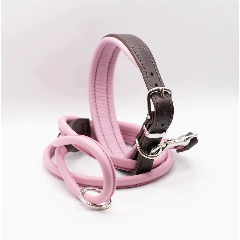 Dogs & Horses Padded Leather Dog Collar - Pink & Brown-Dogs & Horses-Love My Hound