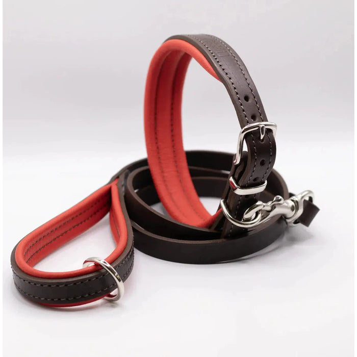 Dogs & Horses Padded Leather Dog Collar - Red & Brown-Dogs & Horses-Love My Hound