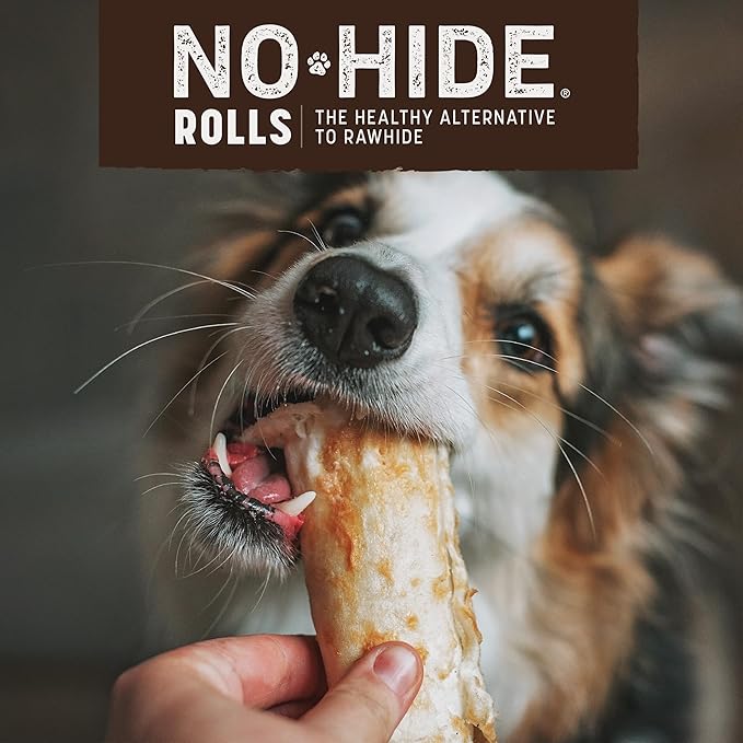 Earth Animal | No Hide Dog Chew - Salmon 2pk-Earth Animal-Love My Hound