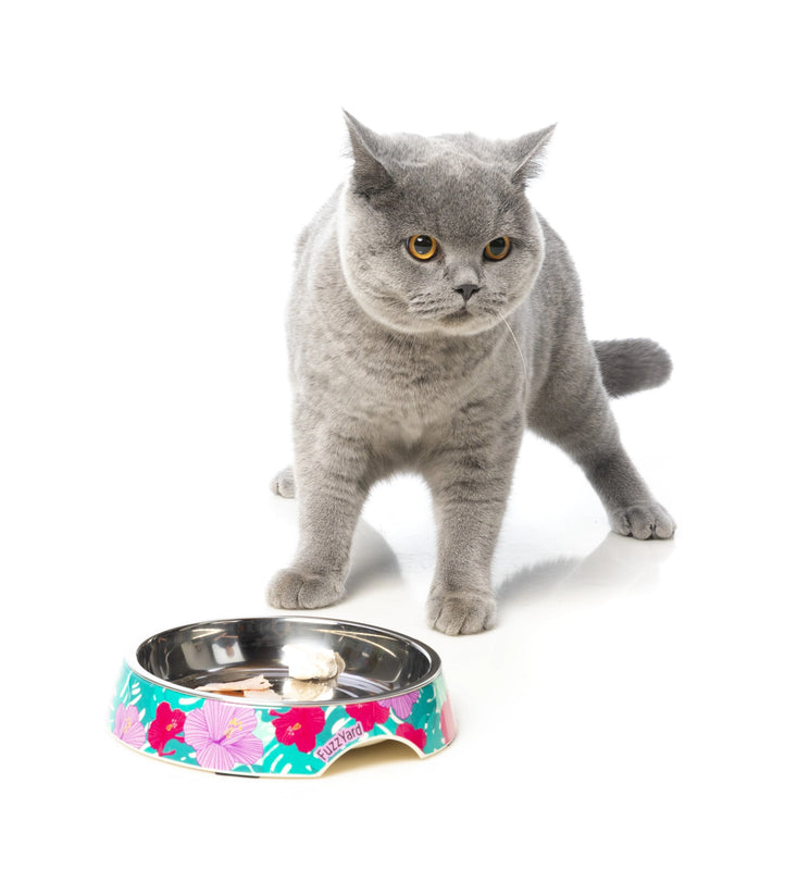 Fuzzyard | Lahaina - Cat Bowl