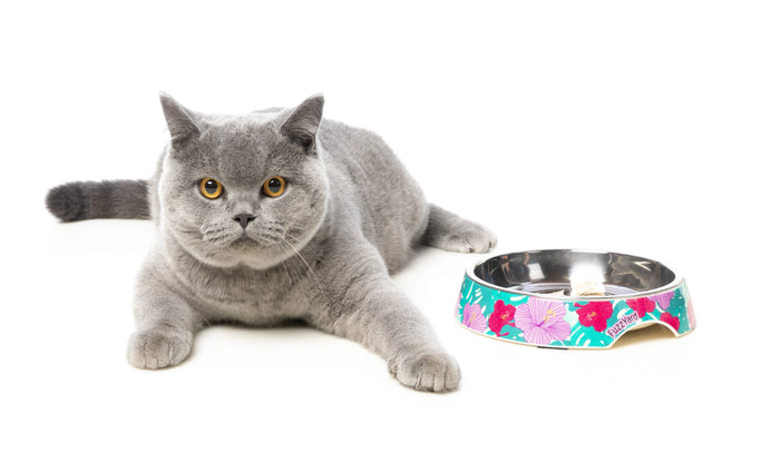 Fuzzyard | Lahaina - Cat Bowl